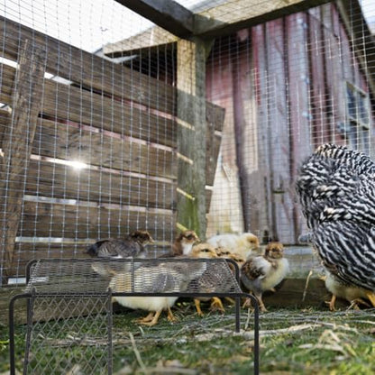 balacoo Rutin Chicken Coop Platform with Ladder Hollow-Out Iron Roosting Rack for Poultry Care Indoor Outdoor Habitat Supply 10.62X5.90X4.52 Inches