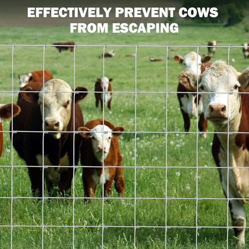 Galvanized 14 Gauge Cattle Livestock Wire Fence, Heavy Zinc Coating Welded Field Barrier 4ft & 5ft x 164ft, Hog Goat Sheep Deer Horse Fencing for Pasture Yard Garden Agriculture (5×164ft) - size: 5×164ft