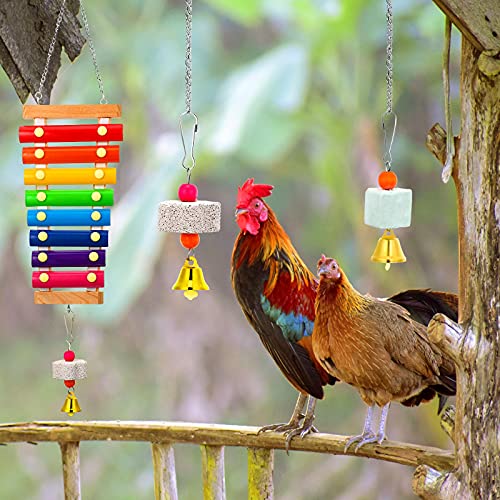5-Piece Colorful Wooden Xylophone Chicken Coop Mirrors with Bells for Hens, Chicks & Parrots