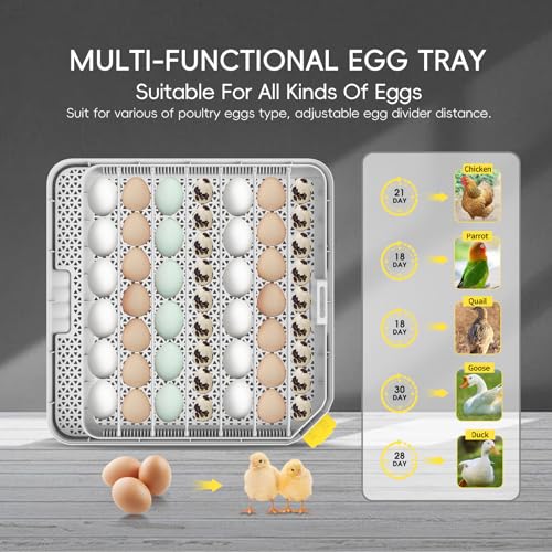 48 Egg Incubator for Hatching Eggs Auto Turning Digital Temp/Humidity Display Built-in Candler & Water Refill LED Candler for Chicken Duck Quail Birds