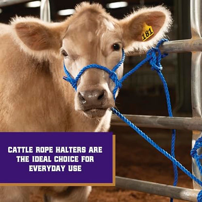 Weaver Livestock Braided Poly Rope Cattle Halter, Adjustable, Modern Style Cow Calf Halter, Livestock Handling Equipment for Showing, Blue - color: Blue, size: One Size