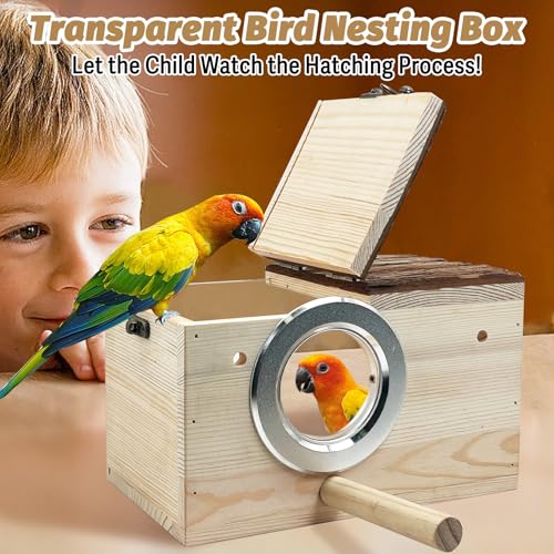 Tfwadmx Parakeet Nesting Box - Wooden Parrot Nest for Cockatiel, Lovebirds, Budgie, Conure - Acrylic Transparent Bird House With Perch for Breeding