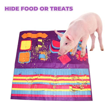 Snuffle Mat for Pigs, Pet Food Mat, Foraging Mat Toy for Small Animals, Pig Toys for Pet Pig, Pig Supplies