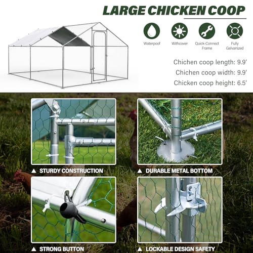 ORANLAND Large Metal Chicken Coop, 9.9x9.9x6.6ft Walk-in Chicken Runs with Cover, Spire Roof Chicken Pen with Security Lock, Outdoor Duck Rabbit Cage Poultry Pen for Backyard, Farm, Yard - size: 118.2"L x 118.2"W x 76.8"H