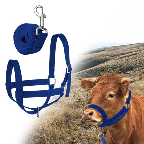 Cow Halter with Leading Rope,Bull Bridle Handling Equipment Harness,Cattle Calf Halter Adjustable for Farm Foal, L