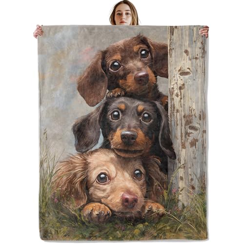 Dachshund Puppies Peekaboo Blanket, Soft Cozy Lightweight Realistic Dog Portrait Throw Blanket for Women Kids Teens, Sofa Couch Bed 40x50 Inch Flannel Cute Pet Blankets for Travel Decor Gifts - color: Dachshund42, size: 40×50 Inch