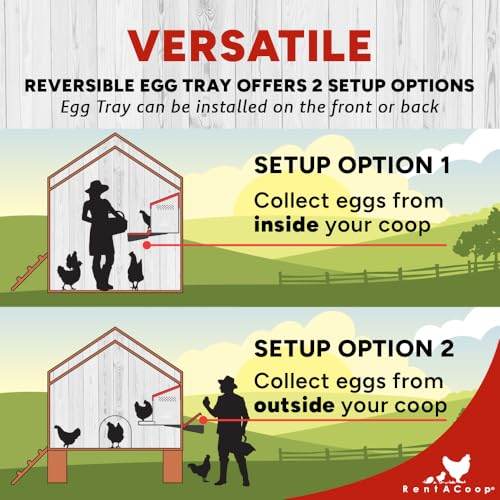 RentACoop Roll-Out Reversible Nesting Box Efficiency (One Compartment) for Chickens, Ducks, Poultry