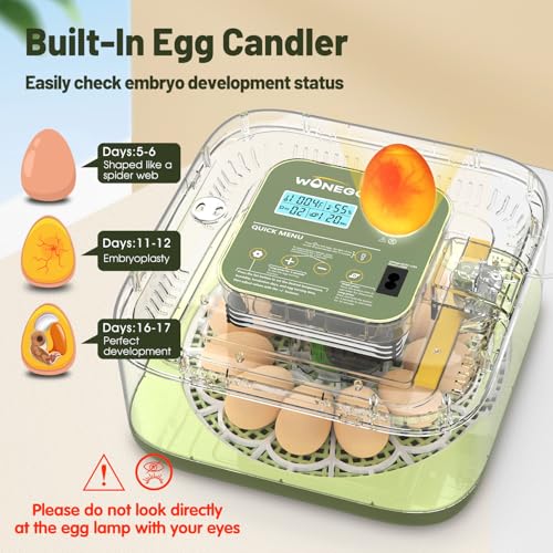 12 Egg Incubator with Automatic Egg Turning and Humidity Control, LED Egg Candling Light, Customized Incubation Days, Incubators for Hatching Eggs, Chicken Quail Parrot Pigeon Birds, Green - color: Green