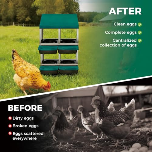 Garvee 4-Hole Rollaway Chicken Nesting Box for Hens –Chicken Nest Box with Removable Trays, Easy Egg Collection & Cleaning, Wall Mount or Freestanding, Sturdy Chicken Laying Boxes, Green - color: Green-4 Hole ＆ 2 Tire