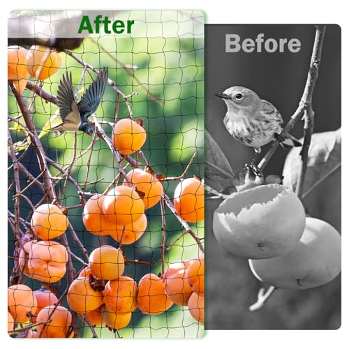 Bird Netting for Chicken Coop 50 X 50 Ft 1" Square Mesh Heavy Duty Chicken Run Netting Roof Cover Against Hawks, Eagles, Owls, UV Resistant, for Garden, Fruit Tree, Plant, Vegetable Protection - size: 1 inch mesh - 50 x 50 ft