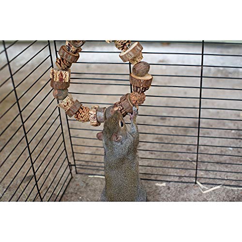 Woodland Hoop - Natural Wood Interactive Hanging Swing Perch Chew Cage Accessory Toy - Sugar Gliders, Parrots, Birds, Degus, Squirrels, Opossums, Marmosets, Rats, Hamsters, Gerbils & Other Small Pets