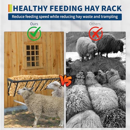 63" Wall Mount Hay Rack Feeder, 16 Gallon Large Capacity Heavy Duty Carbon Steel Livestock Hay Feeder for Horses, Goats, Sheep, Indoor/Outdoor Use, Rust Resistant & Easy Install - size: 63 inch