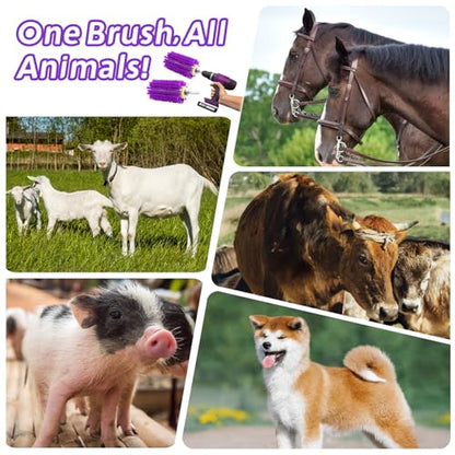 2 Pcs Mini Roto Brush for Livestock, Drill Brush Attachment for Stimulating Livestock Hair, Scratching Shedding Tool for Cattle Horse Sheep Goat Grooming (Purple)