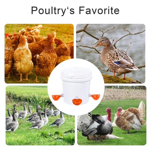 Chicken Waterer Cups, 8 Packs Orange Large Chicken Watering Cups, Automatic Chicken Water Cups, Tee Fittings Poultry Feeder Cups Suitable for Chicken, Duck, Goose, Turkey with Mounting Hole Opener - color: Orange