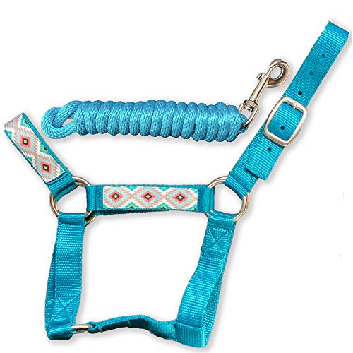 HalterUp Miniature Horse Halters and Lead Ropes (2 Item Bundle) Available in 10 Colors (Turquoise, Large)