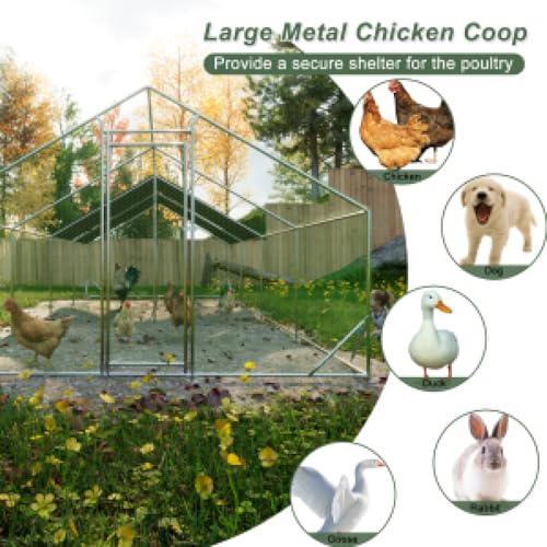 Sturdy Walk-in Chicken Run with Galvanized Steel Frame and PVC-Coated Hexagonal Wire Mesh, UV-Resistant Waterproof Cover for Outdoor Poultry Enclosure (3x8m) - color: 3x8m