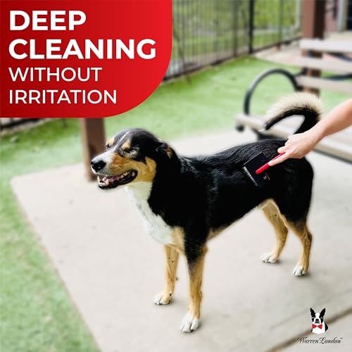 Warren London FurBreeze Pro Max Doodle Brush for Dogs – 4" x 3" Grooming Brush for Long & Thick Coats – Removes Mats & Tangles – Ideal for Goldendoodles, Poodles, Labradors – Professional Groomers - style: FurBreeze Pro Max Large