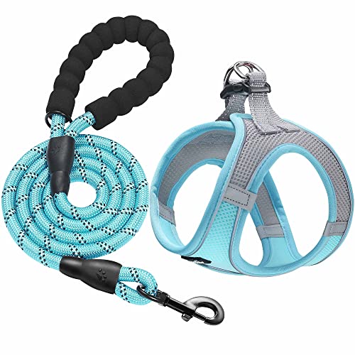 haapaw Dog Harness with Leash Set, No Pull Adjustable Reflective Step-in Puppy Harness with Thickened Padded Vest for Extra-Small/Small Medium Dogs - color: Grey / Blue, size: XS
