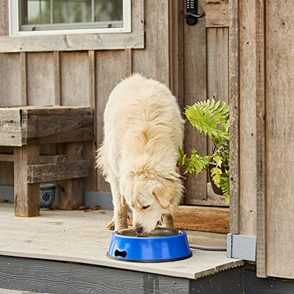 Farm Innovators Heated Pet Water Bowl, 40W Heated Water Dish - 3 Quart Stainless Steel Watering Station with Anti-Chew Cord Protector for Dogs & Cats - size: 3 Qt