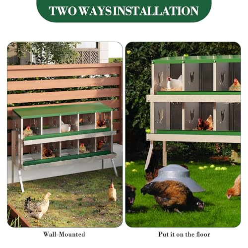 10-Room Metal Chicken Nesting Box, Heavy-Duty Galvanized Steel Egg Laying Box with Vented Holes & Leg, Wall-Mounted or Floor Use, Secure Egg Collection, Green