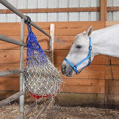 Majestic Ally Pack of 2 Adjustable Halter for Horses–Adjustable Chin and Crown– Sewn-in Throat Snap Hook- Heavy Duty Rose Gold or Black Nickel Finish Hardware–Full - color: Black-Rose Gold