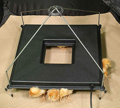 Insta Brooder™ with Vrooder™ Heater Plate - Chicken Pop Up Playpen with Removable Mesh Top - Portable and Foldable Chicken Pen - Indoor Brooder Box for Chicks (36 x 36 x 18 inches)