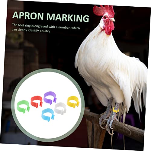 balacoo 360pcs Poultry Identification Multi Foot for Chickens and Geese Easy to Use and Remove Leg Bands for Bird Marking Random Color