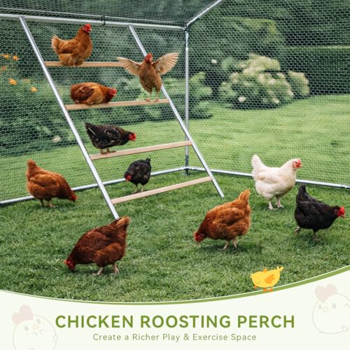 COMHOMA 19.7×10×6.6FT Large Metal Chicken Coop with Roosting Perch | Galvanized Steel Outdoor Cage with Waterproof Roof & Lockable Soor. Walk-in Poultry Run,Ideal for Hens, Ducks, and Rabbits - size: 236.3"L x 120.0"W x 78.8"H