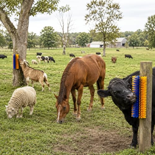2 Pack Livestock Scratching Brush, Large Horse Grooming Brush Kit With Stainless Steel Curry Comb for Full Massage, Heavy Duty Animal Scratcher for Goat, Cow, Donkey, Horses, Barn or Pasture