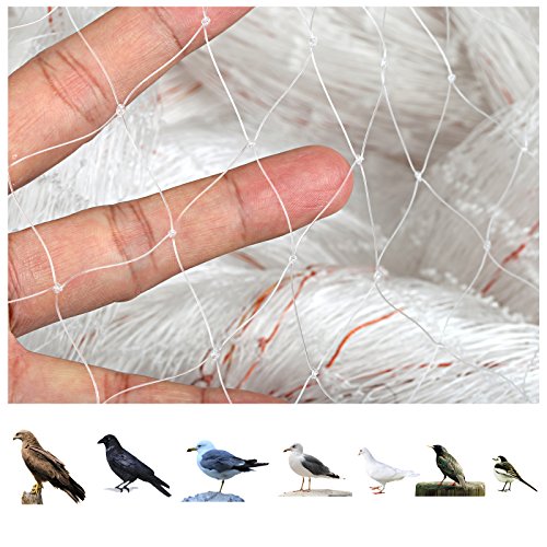 GWHOLE 33 x13 Ft Bird Netting for Garden Tree and Plant Protection, Garden Netting with 1 Inch Mesh Net for Anti Bird Chicken Deer, White - size: 33x13 ft, 1x1 inch mesh (Clear)
