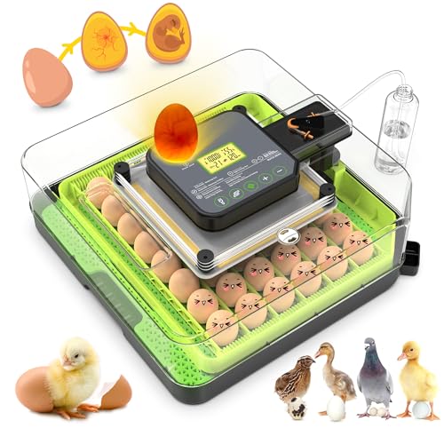 48 Egg Incubator for Hatching Eggs with Automatic Egg Turning, Temperature & Humidity Control, Egg Incubator with 360° View Window and Egg Candler, Incubator for Chicken, Duck, Quail Eggs - color: Green, size: 48 Egg green