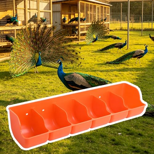 4 5 6 Holes Plastic Peacock Feeder Trough, Poultry Water Trough Replacement with Separated Fence, Small Pig Feeder for Outdoor/Indoor(Orange L65cm/25.6") - size: Orange L65cm/25.6"