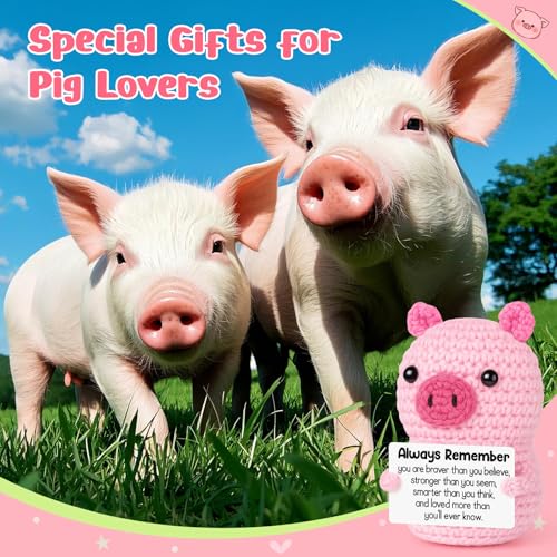 Mini Funny Birthday Handmade Crochet Pink Pig Encouraging Gift for Women | Back to School Gift for Student,Teacher Graduation Inspirational Cheer Up Support Gift for Girl Teen Friend Her Coworker - style: Always Remember