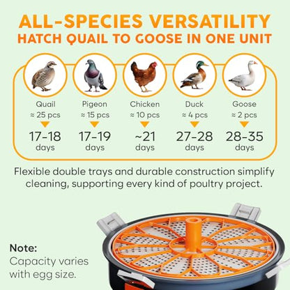 12 Egg Incubator with Automatic Egg Turning and Humidity Control – Temperature Adjustment – incubators for hatching eggs – Built-in Egg Candler – Incubadora de Huevos de Gallina – Easy to Use