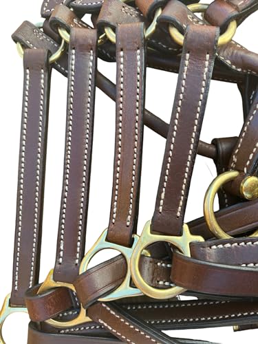 Leaders 3/4" Leather Halter for Horses with Customized Engraved Name Plate Brown Leather with Solid Brass Hardware - size: Draft