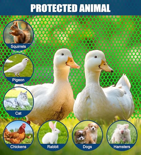 Green Plastic Chicken Wire Mesh Roll 15.7IN x 10FT, 500GSM Hexagonal Netting - Garden Fencing for Poultry, Dog Rabbit Barrier, Floral Crafts, Easy to Cut Durable Animal Proof Yard Fencing - color: 10ft Green
