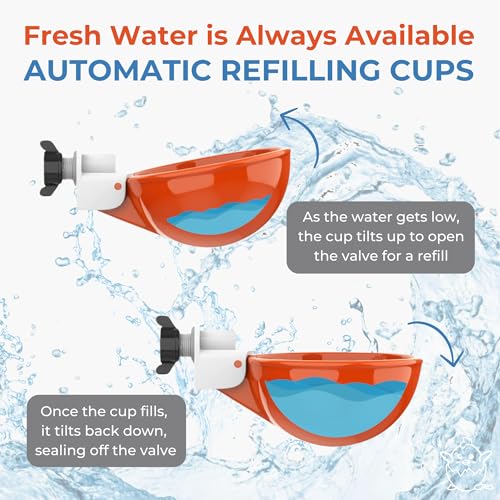 Lil'Clucker Large Automatic Chicken Waterer Cups | Chicken Water Feeder Suitable for Chicks, Duck, Goose, Turkey and Bunny | Poultry Water Feeder Kit (Orange, 5-Pack) - size: 5-Pack