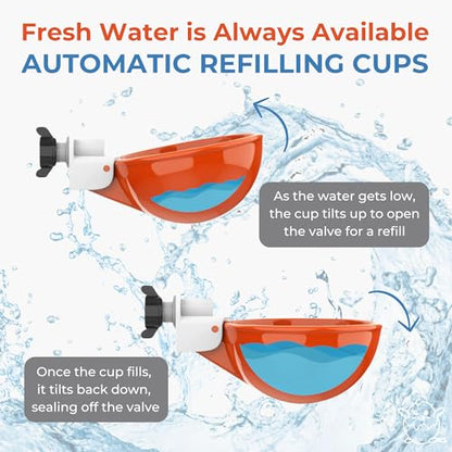 Lil'Clucker Large Automatic Chicken Waterer Cups | Chicken Water Feeder Suitable for Chicks, Duck, Goose, Turkey and Bunny | Poultry Water Feeder Kit (Orange, 5-Pack) - size: 5-Pack