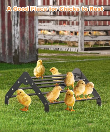 Koutemie Adjustable Chicken Perch for Coop, Heavy-Duty Metal Chick Roosting Bar for Brooder, Baby Chicks Stand Toy Training Perches for Bird Parrot Hens Macaw, Black