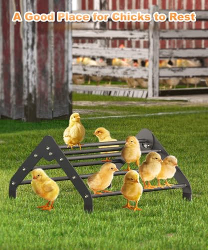 Koutemie Adjustable Chicken Perch for Coop, Heavy-Duty Metal Chick Roosting Bar for Brooder, Baby Chicks Stand Toy Training Perches for Bird Parrot Hens Macaw, Black
