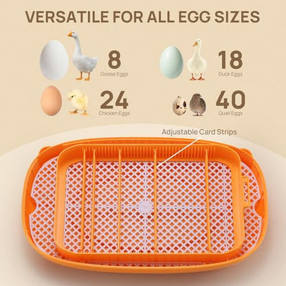 TURBRO Incubator for Hatching Eggs, Automatic Turning, Temperature & Humidity Control, Built-in Candler, 360° Viewing, 24 Egg Incubators for Chicken, Duck, Quail, Turkey, Goose, Parrot, Bird