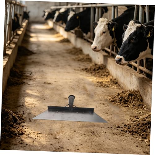 Toyvian Heavy Duty Manganese Steel Cleaning Scraper Shovel for Livestock Farm, 38cm Flat Dung Scraper Tool for Pig and Chicken Coop Manure Removal