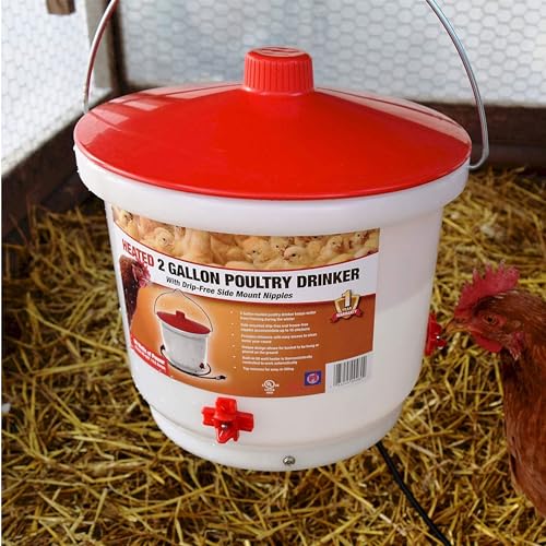 Farm Innovators 2 Pack Heated Chicken Waterer, Poultry Drinker Bucket, 2 Gallon - color: 2 Gallon, size: 2 Pack