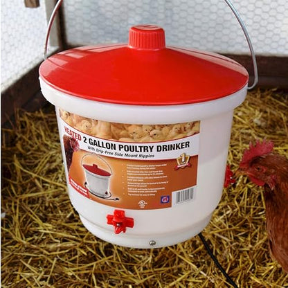 Farm Innovators 2 Pack Heated Chicken Waterer, Poultry Drinker Bucket, 2 Gallon - color: 2 Gallon, size: 2 Pack