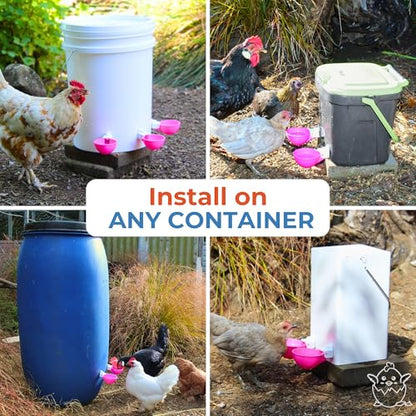 Lil'Clucker - Large Automatic Chicken Waterer Cups Suitable for Ducks, Geese, Turkeys, and Bunny Rabbit - Water Feeder Kit - Poultry Waterer (Pink, 12 Pack) - color: Pink, size: 12 Pack