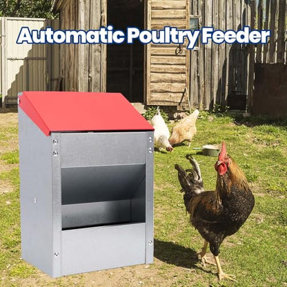 Cryfokt Galvanized Wall Mount Chicken Feeder, No Waste Hanging Poultry Food Dispenser with Lid Weatherproof Metal Automatic Trough, for Outside Coop 10lbs Capacity