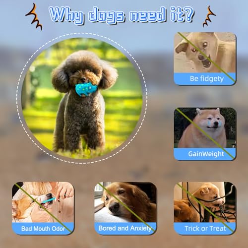 Dog Squeak Toy with Oinking Sounds, Pig Squeaky Dog Toy Latex Polka Dot Squeaky Pig Dogs Toys Rubber Chew Toys for Small, Medium and Large Dogs (Blue, S) - color: Blue, size: S
