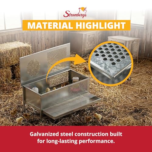 Stromberg's Stand Up Chick Brooder, Elevated Chicken Brooder Pen with Lamp Stand, Removable Tray, Wire Floor, Ventilated Steel Design, Raised Frame for Easy Cleaning and Chick Care