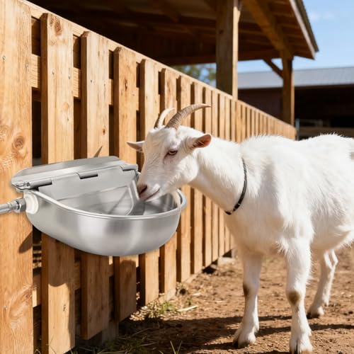 2-Pack Automatic Livestock Waterer, 304 Stainless Steel Auto Fill with Float Valve, Drainage Hole & Baffle, Without Hose, Wall/Floor Mount, for Dogs, Chickens, Horses, Goats, Pigs