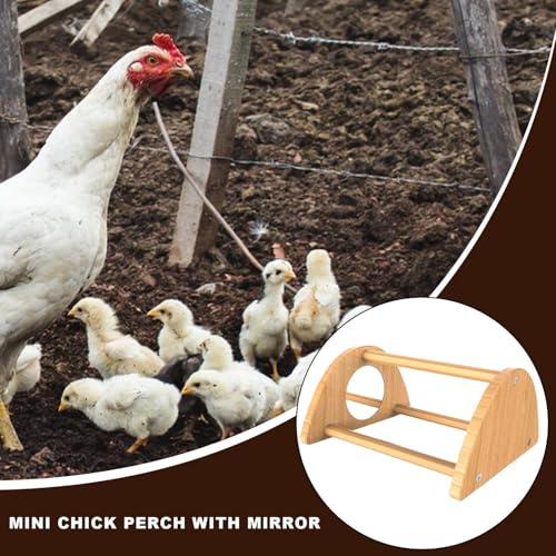 Chick Perch - Mini Wood Roosting Bar with Mirror for Chickens, Interactive Rooster Training Toy and Chicken Play Accessory for Coop, Encouraging Exercise, Balance, Socialization, and Engagement